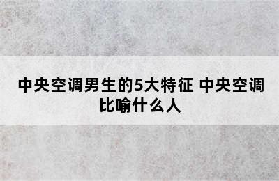 中央空调男生的5大特征 中央空调比喻什么人